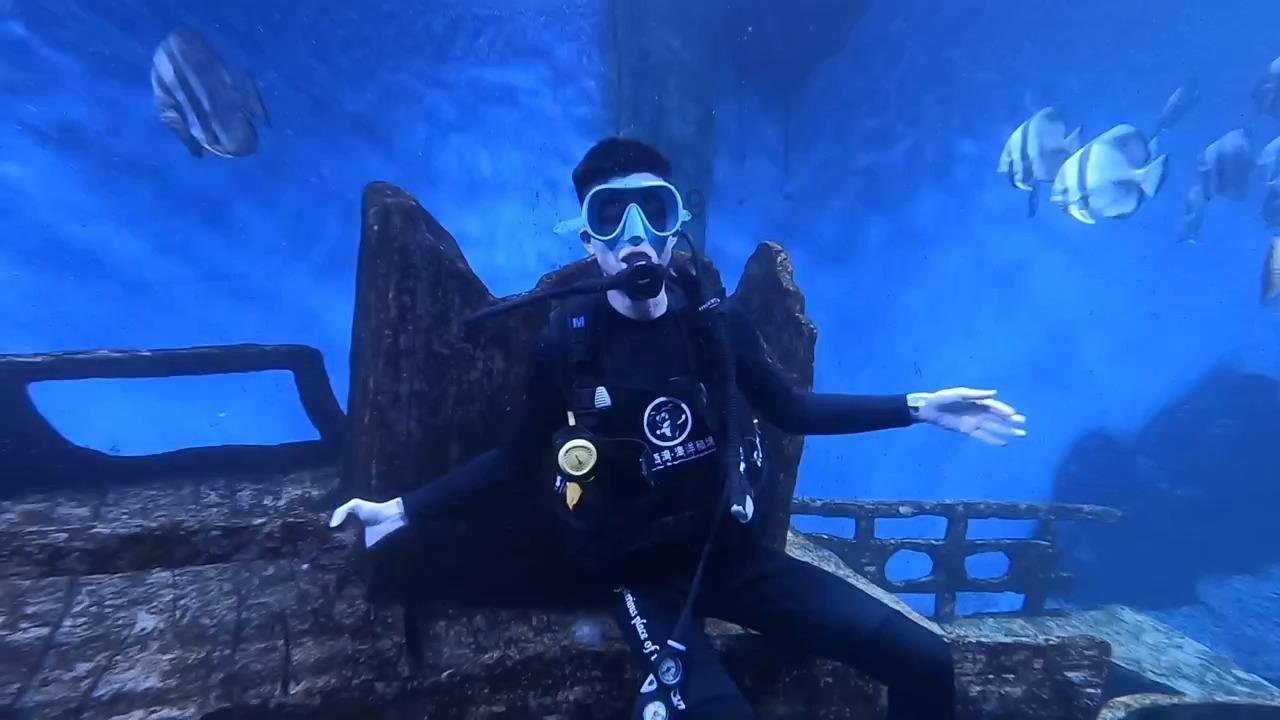 次元喵