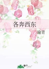 风暴英雄