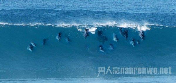 电脑怎么下载游戏