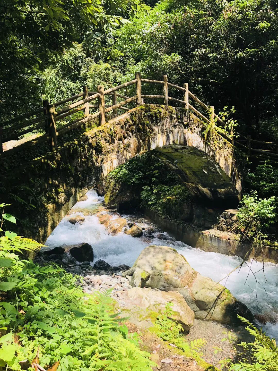 “心·肝宝贝”让更多患者受益